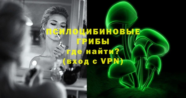 гашик Карталы