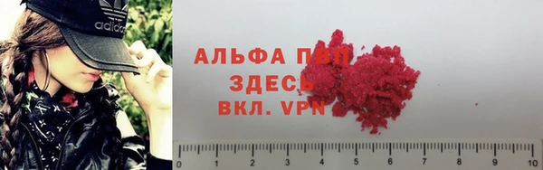 гашик Карталы