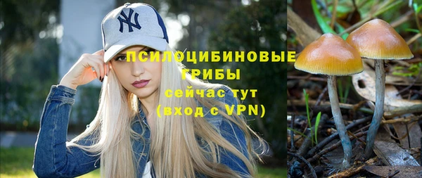 дмт Касимов