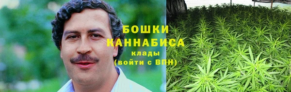 дмт Касимов